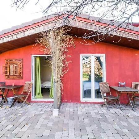B&B Concha-3